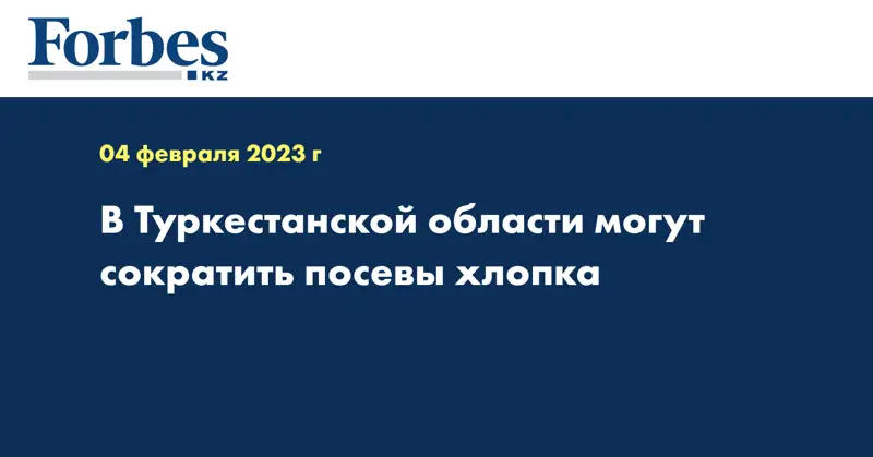 В Туркестанской области могут сократить посевы хлопка 