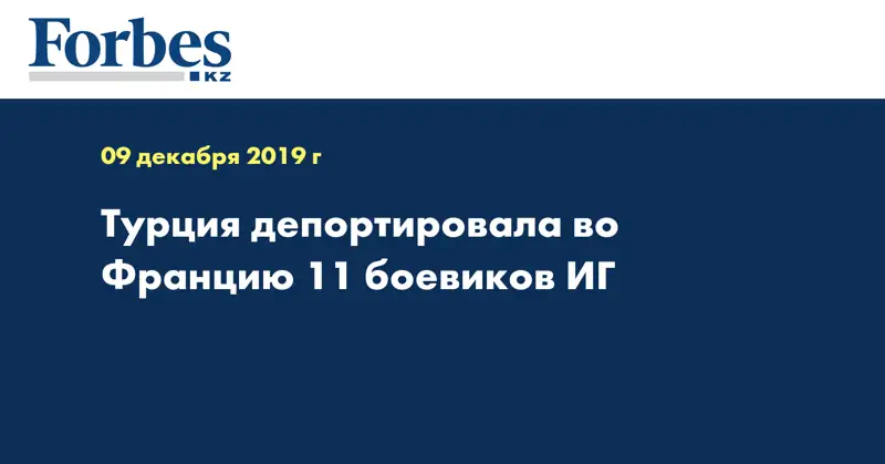 Турция депортировала во Францию 11 боевиков ИГ