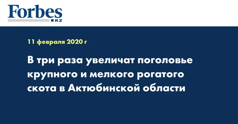 В три раза увеличат поголовье крупного и мелкого рогатого скота в Актюбинской области