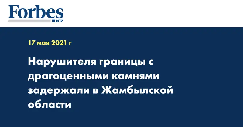 Нарушителя границы с драгоценными камнями задержали в Жамбылской области