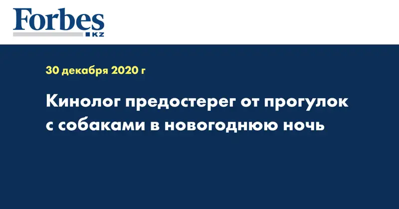 Кинолог предостерег от прогулок с собаками в новогоднюю ночь