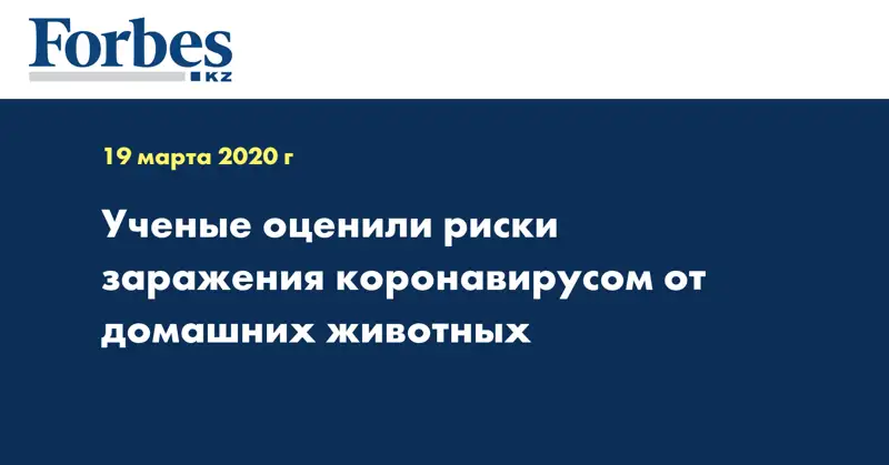 Ученые оценили риски заражения коронавирусом от домашних животных