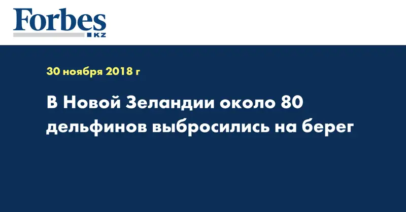 В Новой Зеландии около 80 дельфинов выбросились на берег