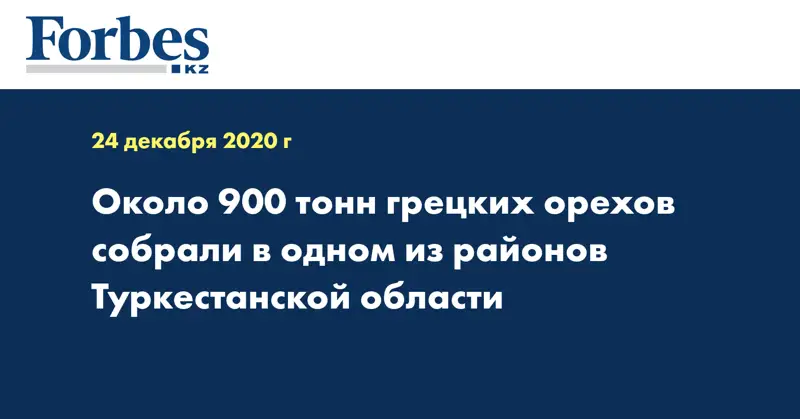 Около 900 тонн грецких орехов собрали в одном из районов Туркестанской области