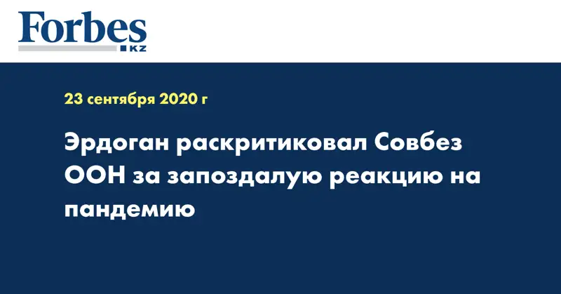 Эрдоган раскритиковал Совбез ООН за запоздалую реакцию на пандемию