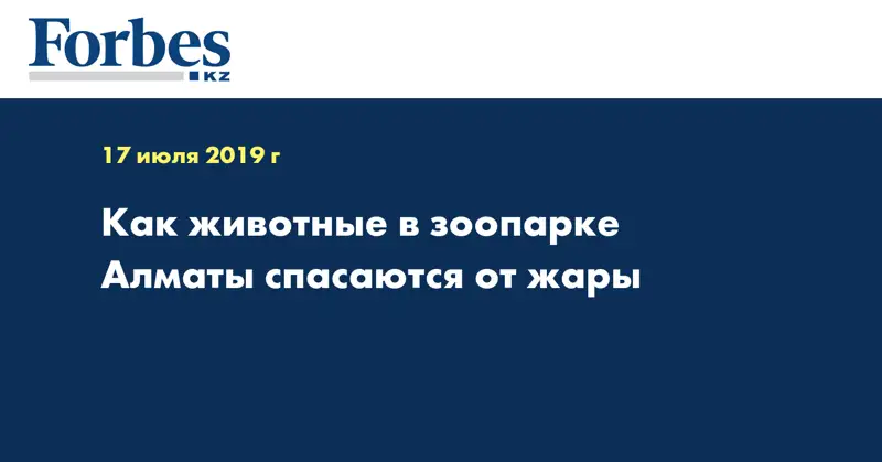 Как животные в зоопарке Алматы спасаются от жары
