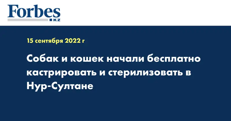 Собак и кошек начали бесплатно кастрировать и стерилизовать в Нур-Султане