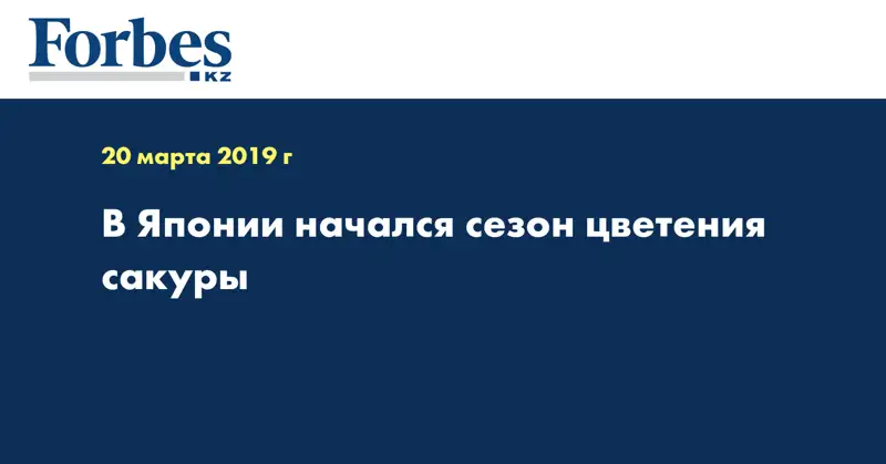 В Японии начался сезон цветения сакуры