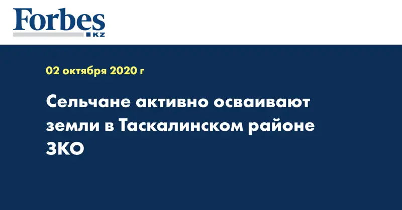 Сельчане активно осваивают земли в Таскалинском районе ЗКО