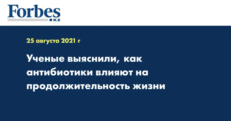Ученые выяснили, как антибиотики влияют на продолжительность жизни
