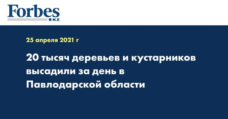 20 тысяч деревьев и кустарников высадили за день в Павлодарской области