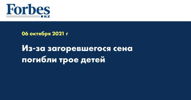 Из-за загоревшегося сена погибли трое детей