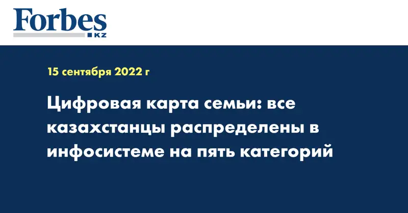 Цифровая карта семьи: все казахстанцы распределены в инфосистеме на пять категорий