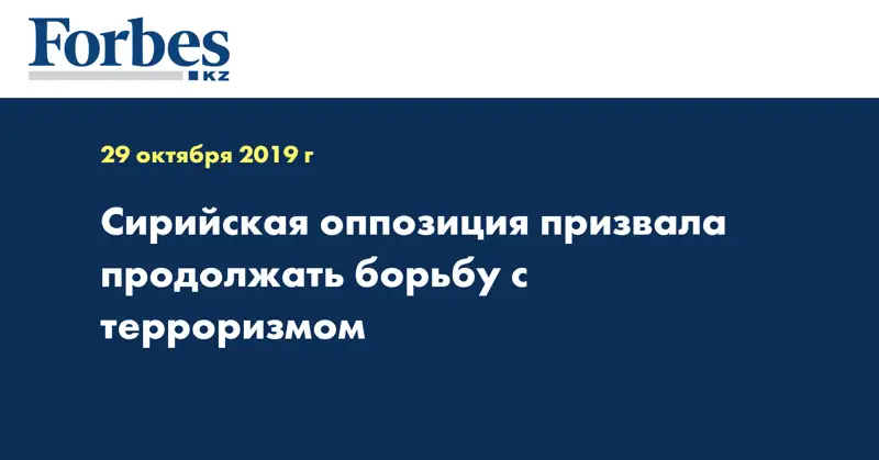 Сирийская оппозиция призвала продолжать борьбу с терроризмом