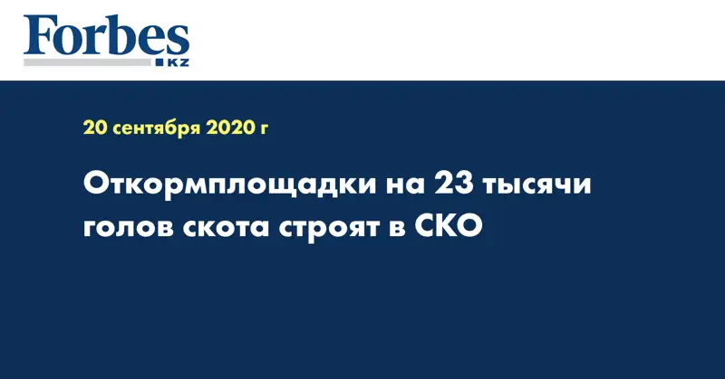 Откормплощадки на 23 тысячи голов скота строят в СКО  