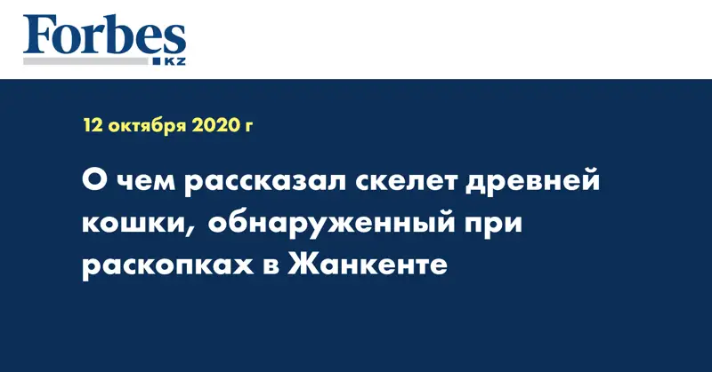 О чем рассказал скелет древней кошки, обнаруженный при раскопках в Жанкенте