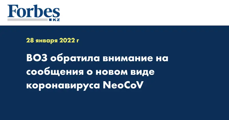 ВОЗ обратила внимание на сообщения о новом виде коронавируса NeoCoV