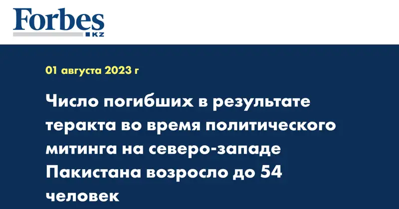 Число погибших в результате теракта во время политического митинга на северо-западе Пакистана возросло до 54 человек