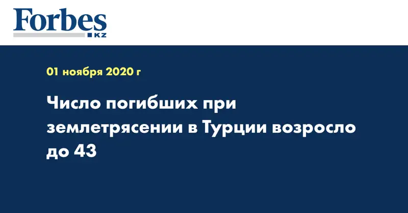 Число погибших при землетрясении в Турции возросло до 43
