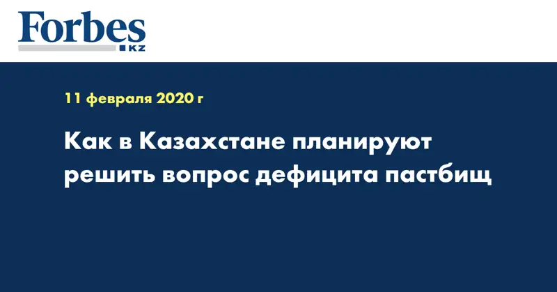 Как в Казахстане планируют решить вопрос дефицита пастбищ