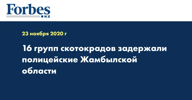  16 групп скотокрадов задержали полицейские Жамбылской области
