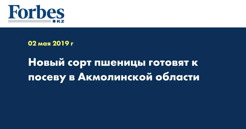 Новый сорт пшеницы готовят к посеву в Акмолинской области