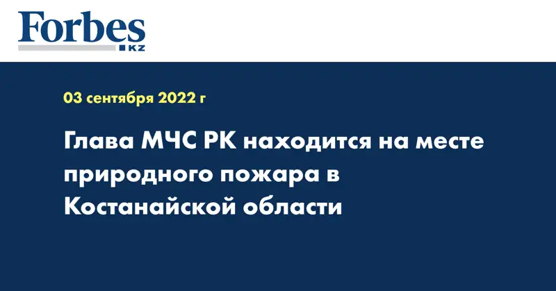 Глава МЧС РК находится на месте природного пожара в Костанайской области