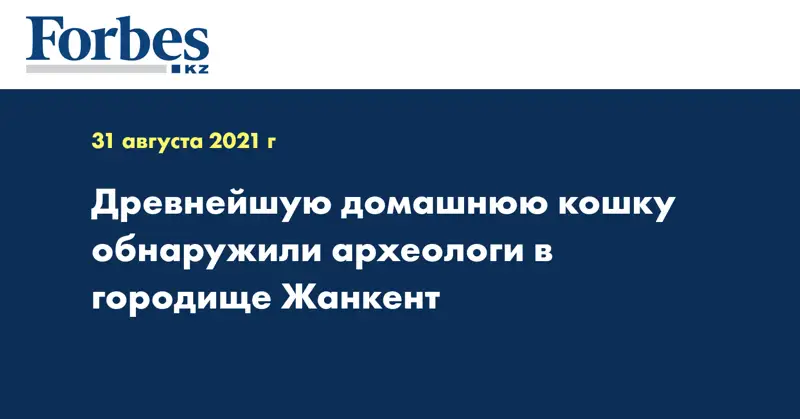 Древнейшую домашнюю кошку обнаружили археологи в городище Жанкент