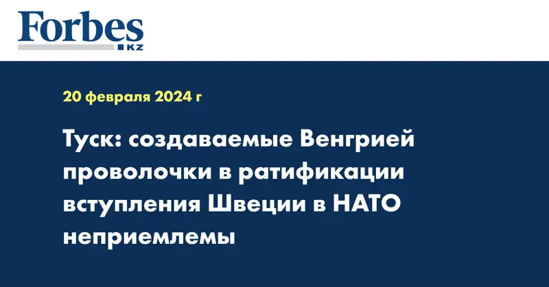 Туск: Создаваемые Венгрией проволочки в ратификации вступления Швеции в НАТО неприемлемы