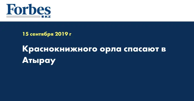 Краснокнижного орла спасают в Атырау  