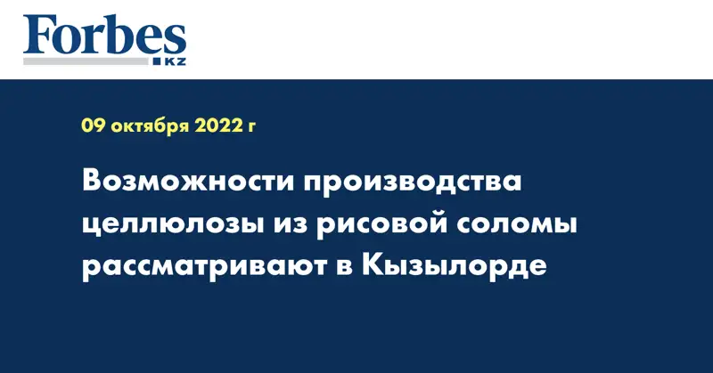 Возможности производства целлюлозы из рисовой соломы рассматривают в Кызылорде