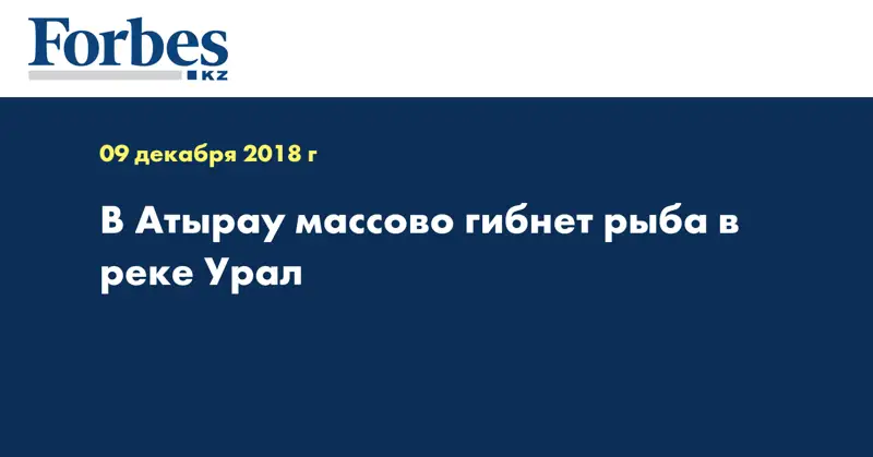 В Атырау массово гибнет рыба в реке Урал  
