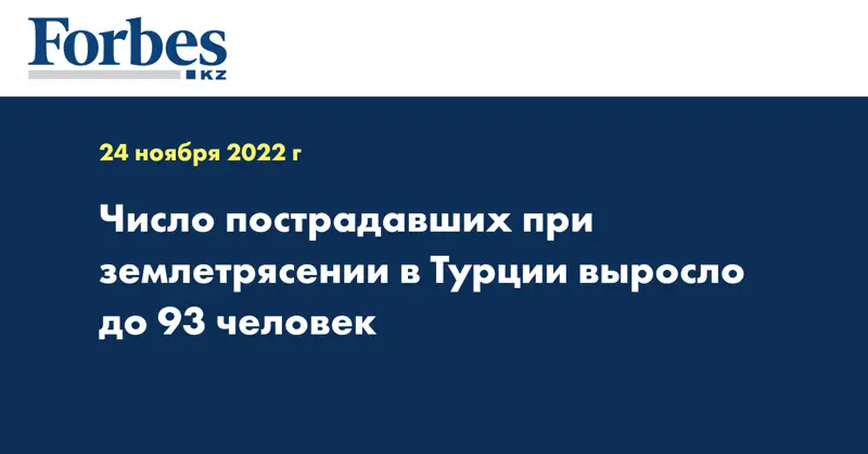 Число пострадавших при землетрясении в Турции выросло до 93 человек
