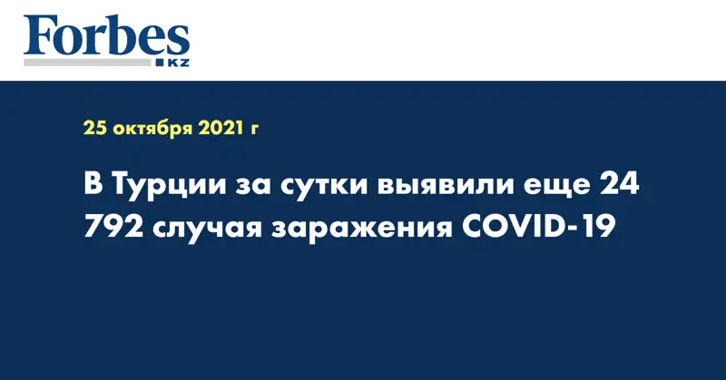 В Турции за сутки выявили еще 24 792 случая заражения COVID-19