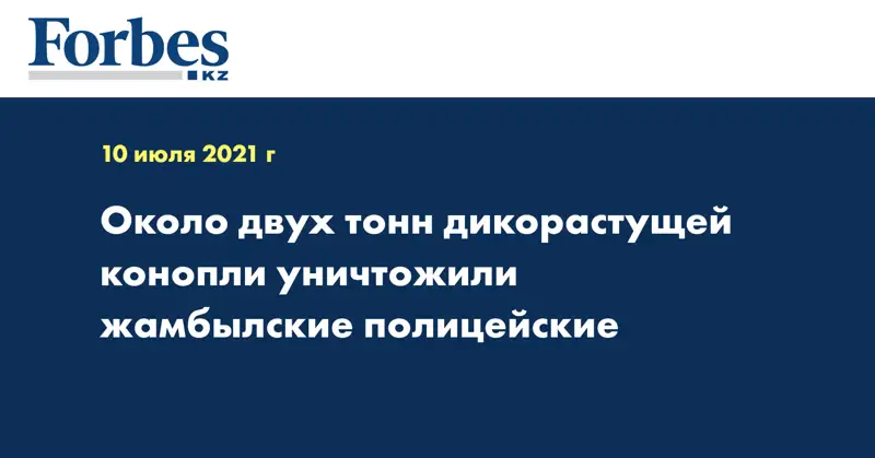 Около двух тонн дикорастущей конопли уничтожили жамбылские полицейские