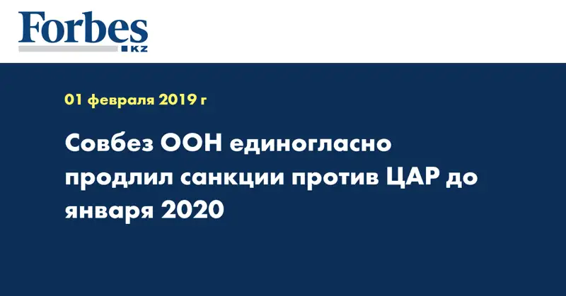 Совбез ООН единогласно продлил санкции против ЦАР до января 2020