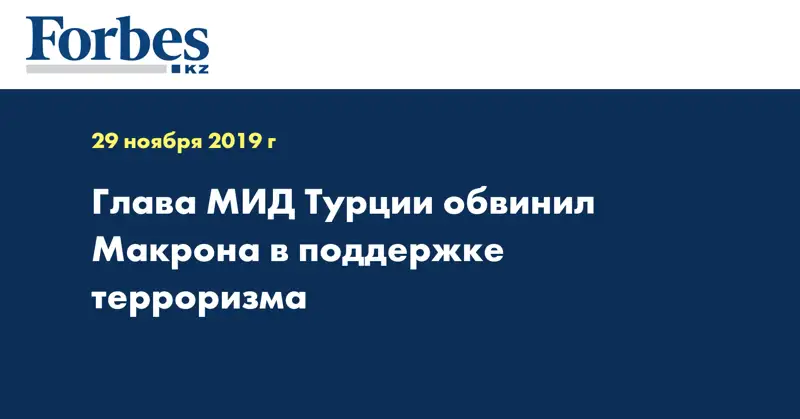 Глава МИД Турции обвинил Макрона в поддержке терроризма