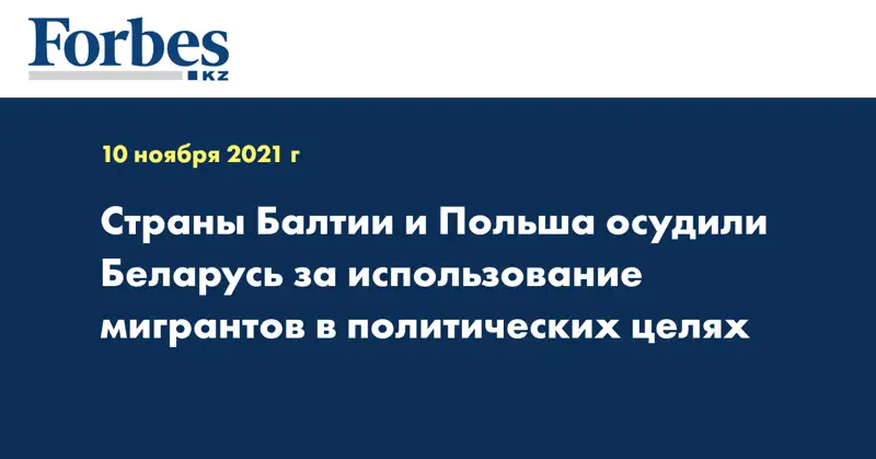 Страны Балтии и Польша осудили Беларусь за использование мигрантов в политических целях 
