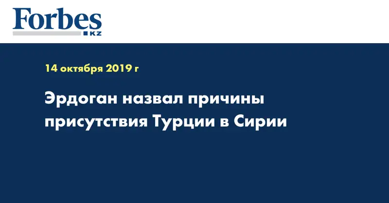 Эрдоган назвал причины присутствия Турции в Сирии