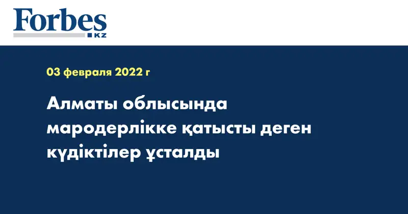 Алматы облысында мародерлікке қатысты деген күдіктілер ұсталды
