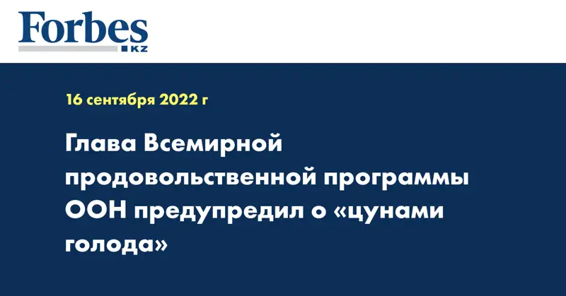 Глава Всемирной продовольственной программы ООН предупредил о «цунами голода»