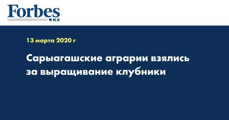 Сарыагашские аграрии взялись за выращивание клубники