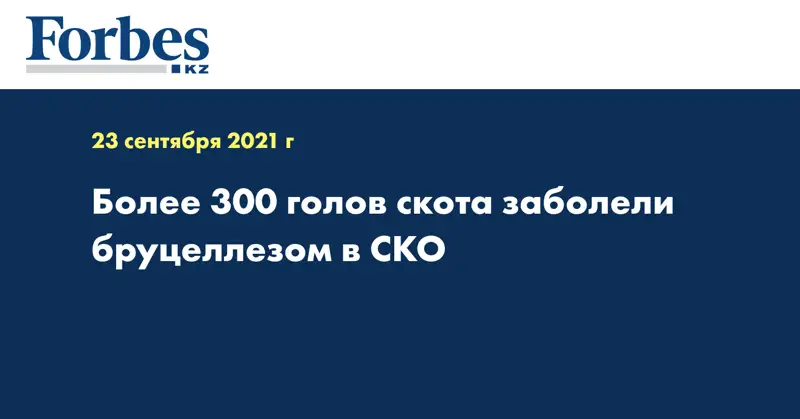 Более 300 голов скота заболели бруцеллезом в СКО