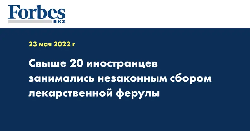 Свыше 20 иностранцев занимались незаконным сбором лекарственной ферулы