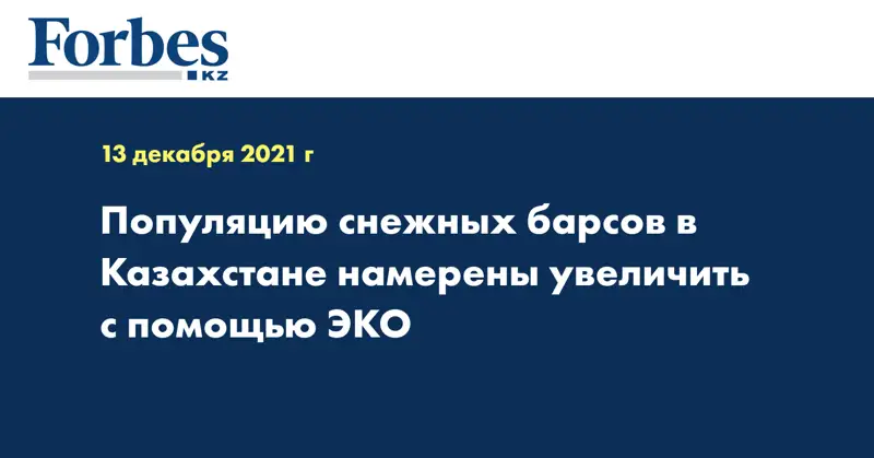 Популяцию снежных барсов в Казахстане намерены увеличить с помощью ЭКО 