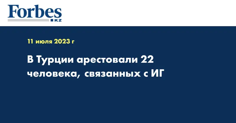 В Турции арестовали 22 человека, связанных с ИГ