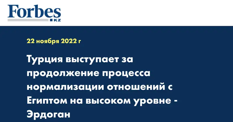 Турция выступает за продолжение процесса нормализации отношений с Египтом на высоком уровне - Эрдоган