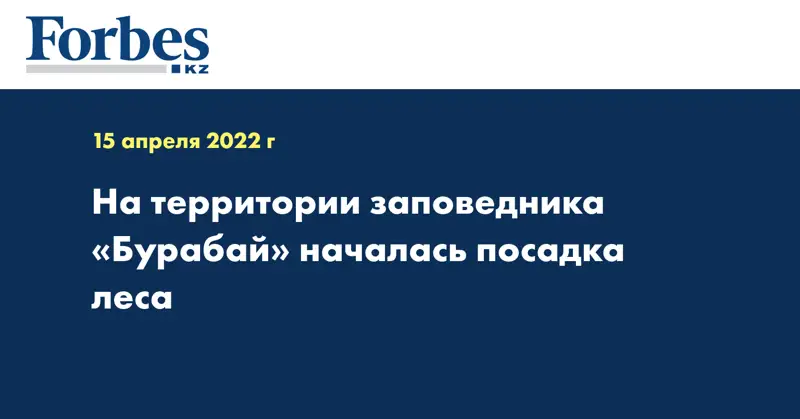 На территории заповедника «Бурабай» началась посадка леса