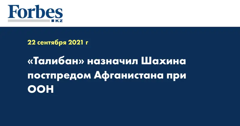 «Талибан» назначил Шахина постпредом Афганистана при ООН