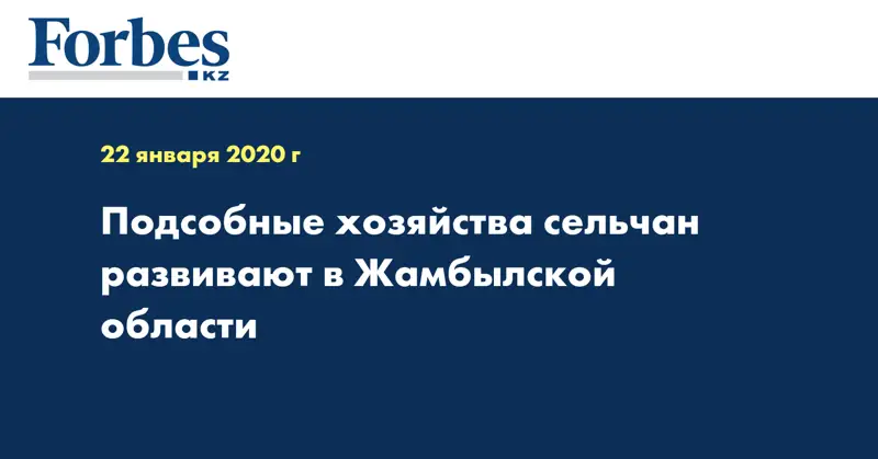 Подсобные хозяйства сельчан развивают в Жамбылской области